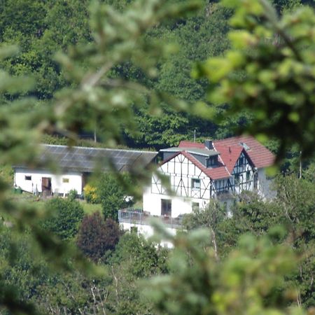 Ferienwohnung Schaefer Waldbreitbach Exteriör bild