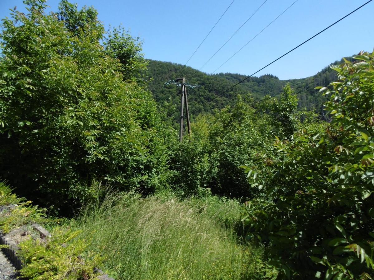Ferienwohnung Schaefer Waldbreitbach Exteriör bild