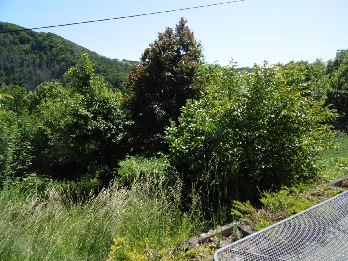 Ferienwohnung Schaefer Waldbreitbach Exteriör bild