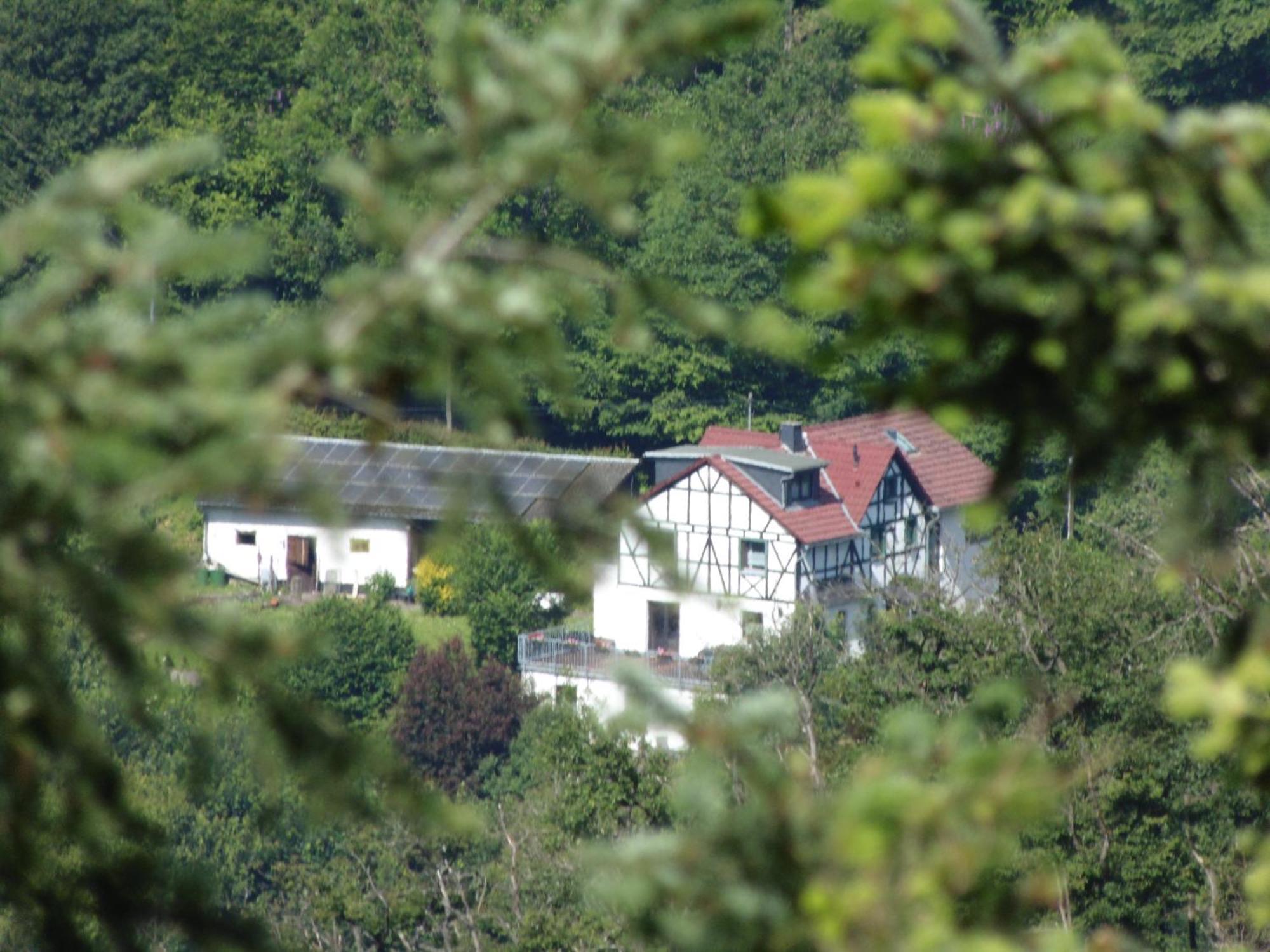Ferienwohnung Schaefer Waldbreitbach Exteriör bild